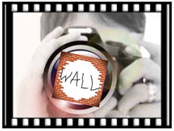 Wall-Camera-woman-Capture